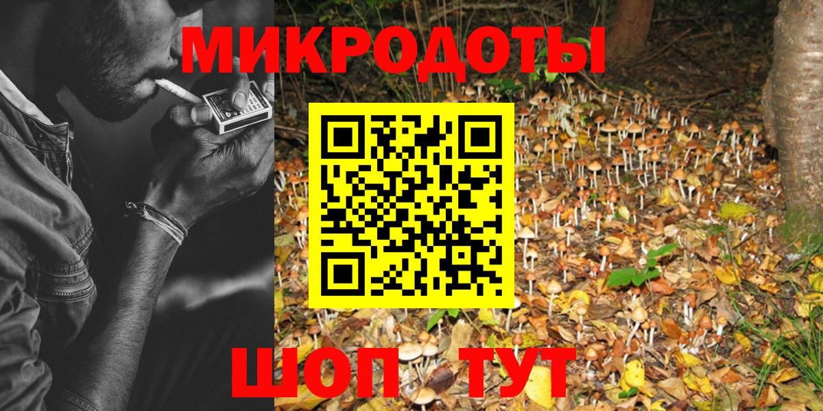 Зеленодольск  Псилоцибиновые грибы прущие грибы  Вход с VPN 