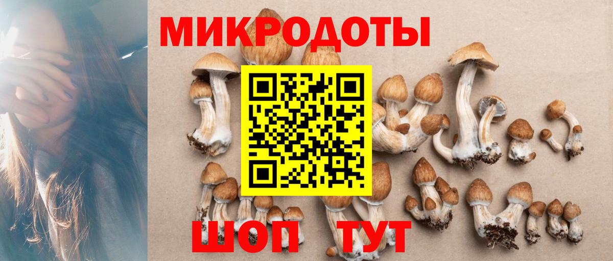 Псилоцибиновые грибы ЛСД Зеленодольск